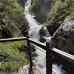 Il Ciliegio Di