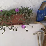 Il Ciliegio Di 3* Lurisia