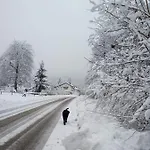 Il Ciliegio Di Луризия