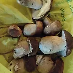 Nocleg ze śniadaniem Il Ciliegio Di