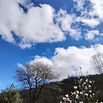 Il Ciliegio Di Отель типа 
