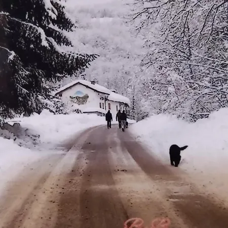 Il Ciliegio Di Frühstückspension