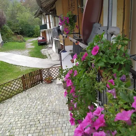 Frühstückspension Il Ciliegio Di