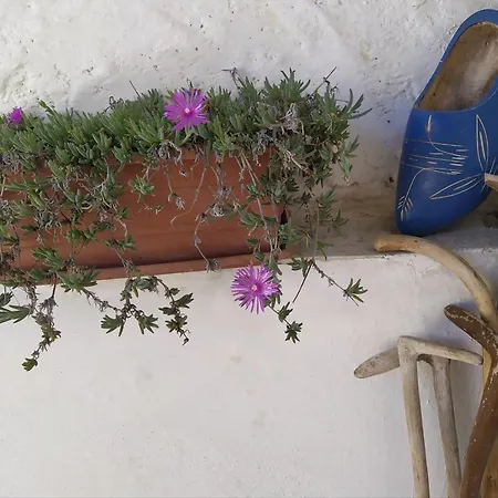 Il Ciliegio Di 3* Lurisia