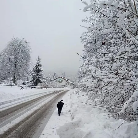 Il Ciliegio Di Lurisia