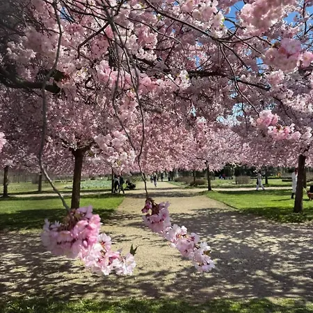 Il Ciliegio Di Frühstückspension