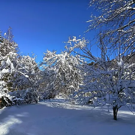 Il Ciliegio Di Frühstückspension Lurisia