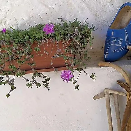 Il Ciliegio Di Bed & Breakfast 3*
