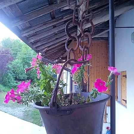 Il Ciliegio Di Bed & Breakfast
