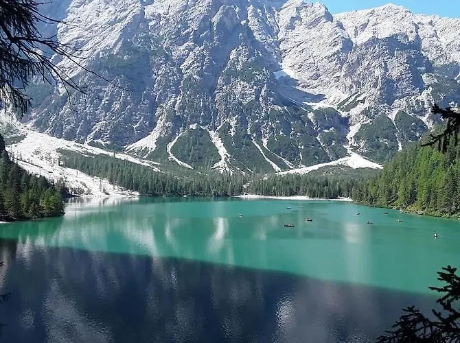 Il Ciliegio Di 3*