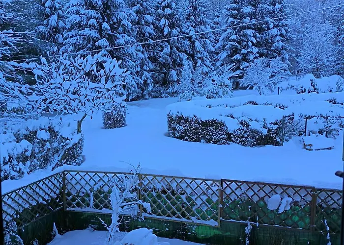 Bed & Breakfast Il Ciliegio Di 3*